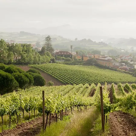 Casas Da - Daire Ericeira