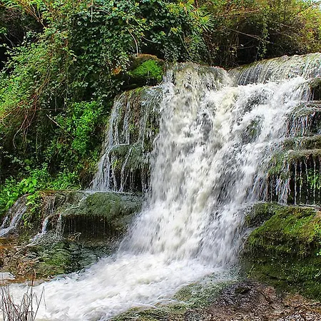 Apartment Casas Da -