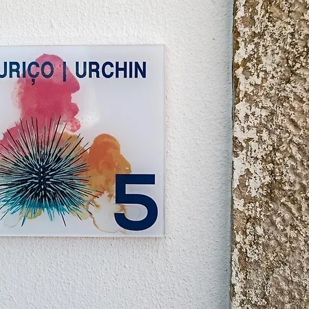 Apartment Casas Da - Ericeira