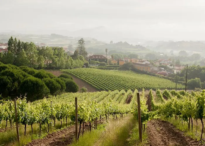 Casas Da - Διαμέρισμα Ericeira