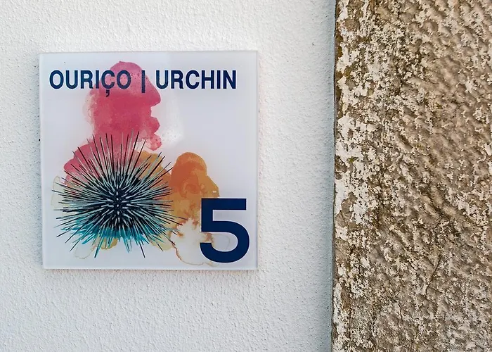 Διαμέρισμα Casas Da - Ericeira